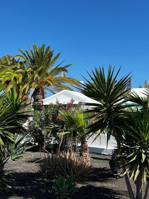 Lovely Casita Jade Playa Blanca (Lanzarote) Exterior foto